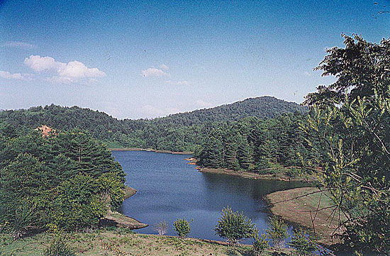 亮山生态度假旅游