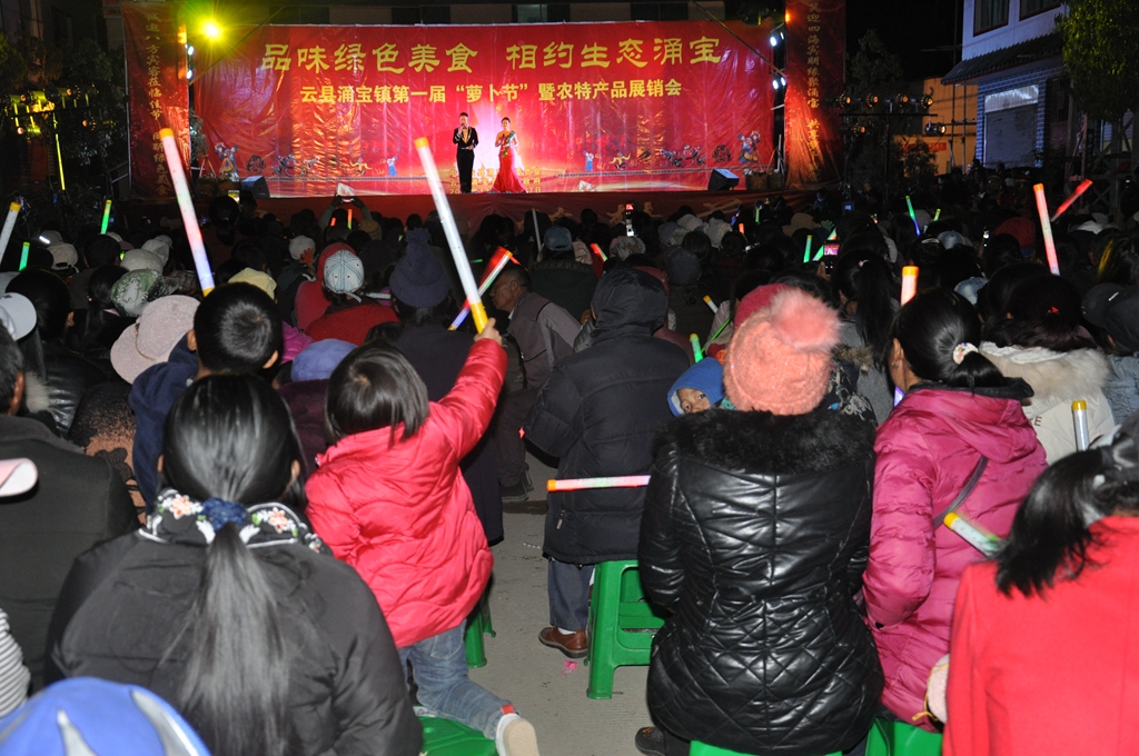 涌宝镇举办第一届“萝卜节”活动