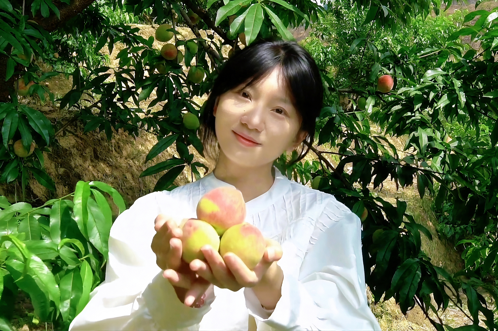 茂兰镇三月桃：一口咬开夏日里的甜蜜暴击